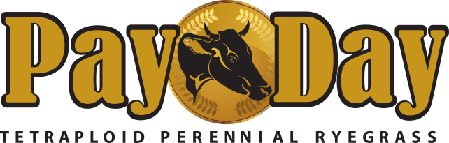 Payday Logo